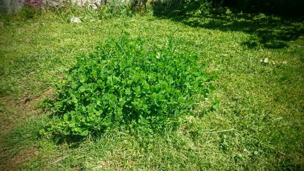 Stressfree Villa Ičići Zewnętrze zdjęcie